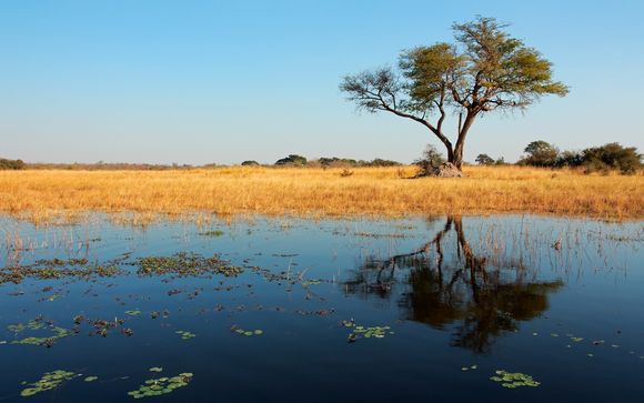 ¡Completa tu estancia!