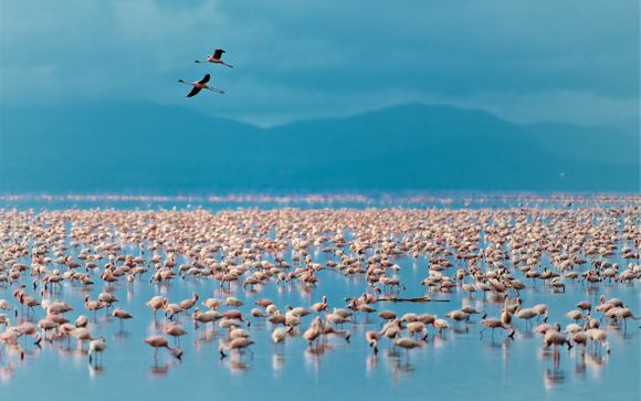 Tu itinerario durante el safari