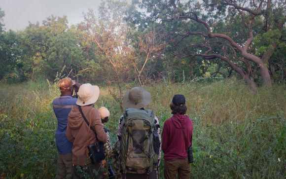 Fathala Wildlife Reserve en 2 o 3 noches
