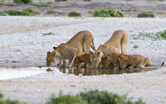 ¡Completa tu estancia!