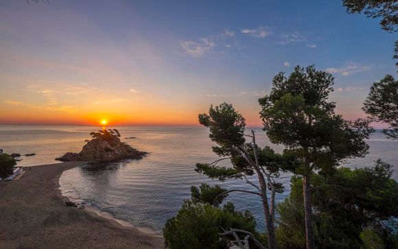 Platja d'Aro te espera