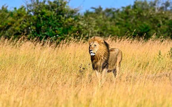 Itinerario - Salidas en grupo
