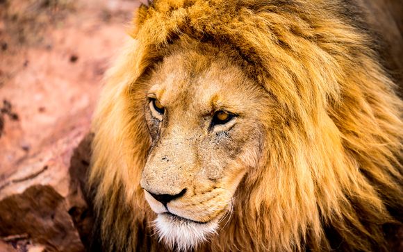 Itinerario - Salidas en grupo