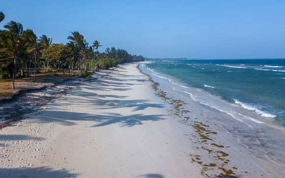 Msambweni Beach House & Private Villas