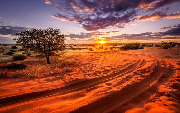 ¡Completa tu estancia!