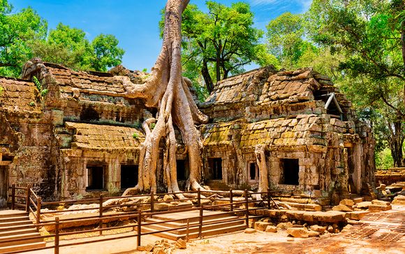 Itinerario - Salidas en grupo