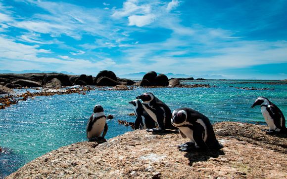 Hotel Westin Turtle Bay Maurice 5*