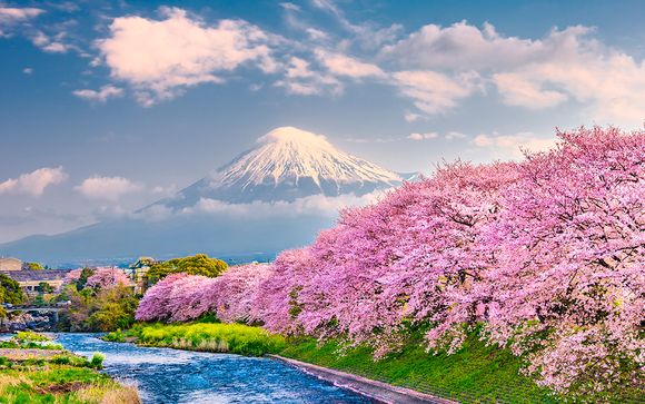 Japón en Libertad