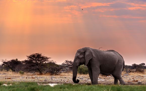 Itinerario - Salidas en grupo