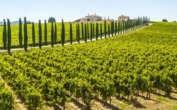 Monte Castello di Vibio le espera