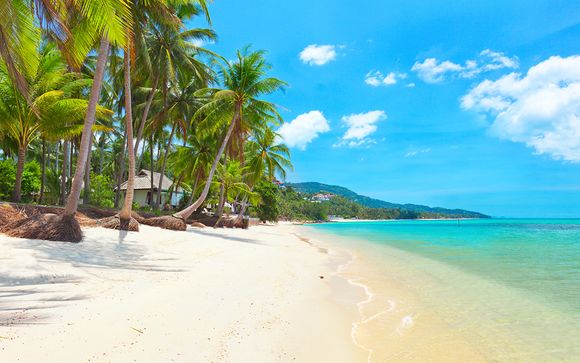 Tailandia le espera