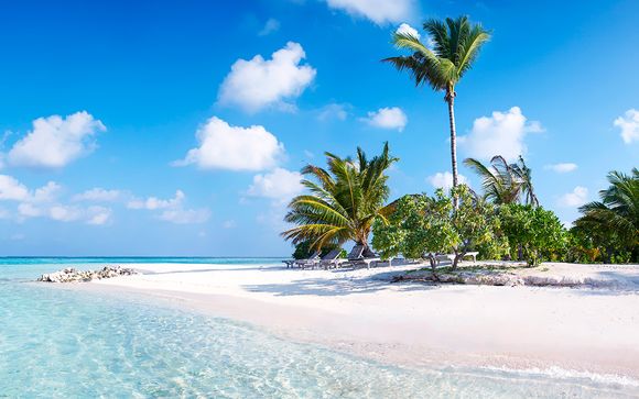 El paraíso te espera