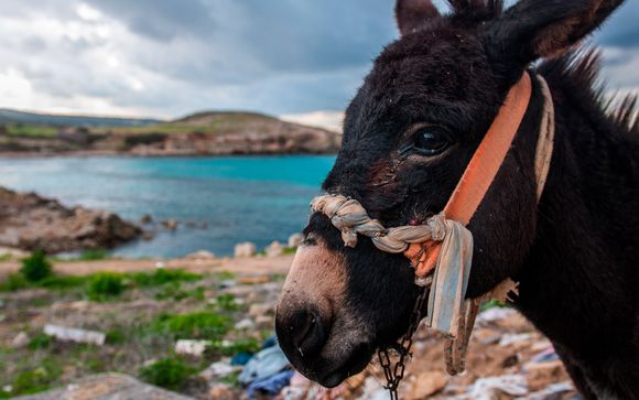 Itinerario - Salidas en grupo
