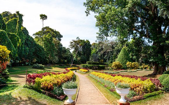 Itinerario - 8 noches