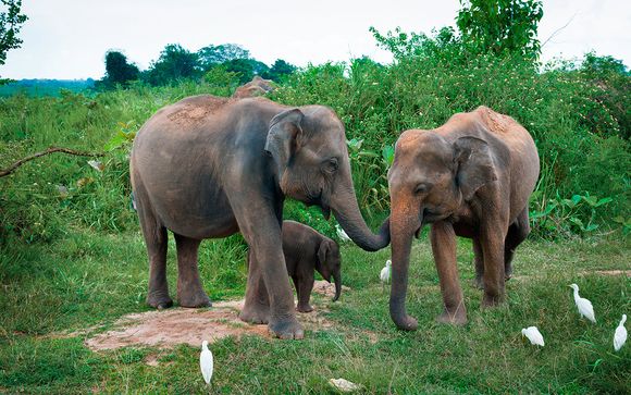 Itinerario - 8 noches