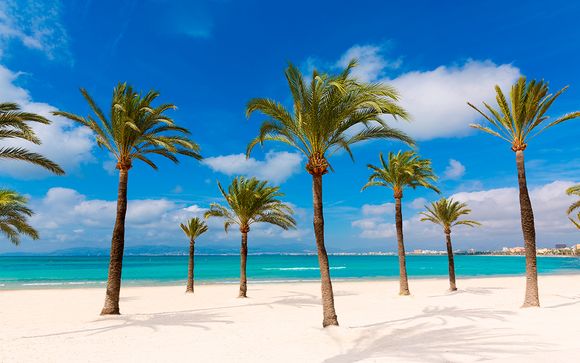 Playa de Palma te espera