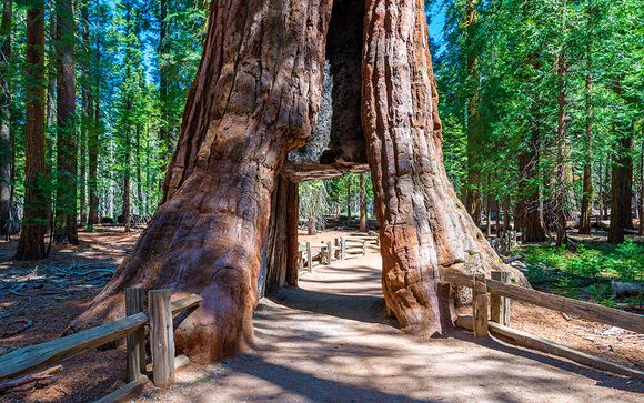 Itinerario - Salidas en grupo