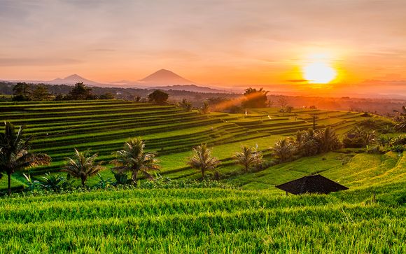 Bali Esencial