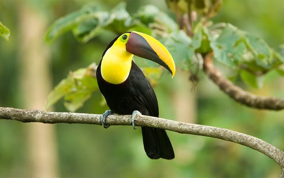 Itinerario - Salidas en grupo