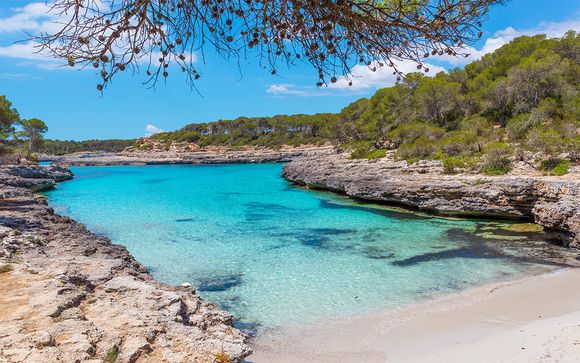 Hotel RD Mar de Portals 4*
