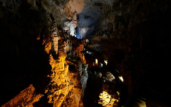 Excursiones de 1/2 día