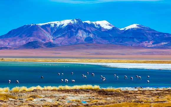 Chile y Bolivia con extensión al Lago Titicaca