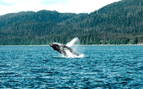 Canadá con avistamiento de ballenas y Nueva York opcional