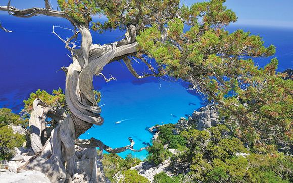 Arbatax Park Resort Telis 4*