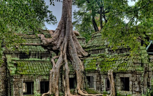 Extensión a Camboya (opción 2)