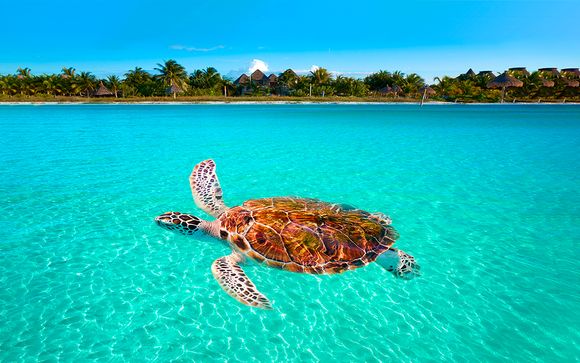 Mystique Blue Boutique Suites
