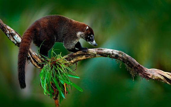 Itinerario de 9 noches