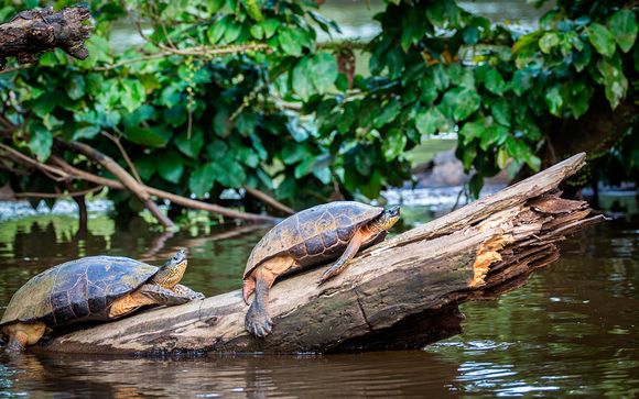 Itinerario de 9 noches