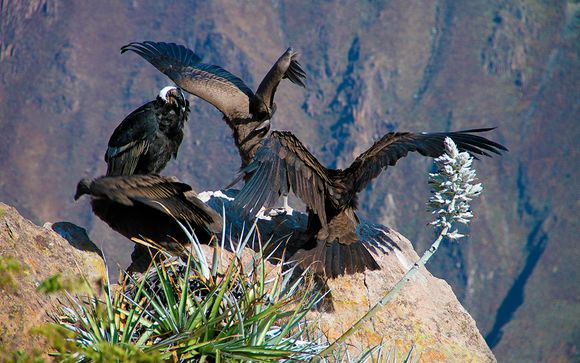Itinerario - Salidas en grupo