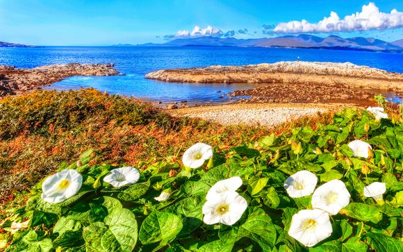 Itinerario - Salidas en grupo