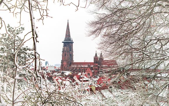 Fin de Año en Alsacia y la Selva Negra (oferta 2) - Salidas en grupo