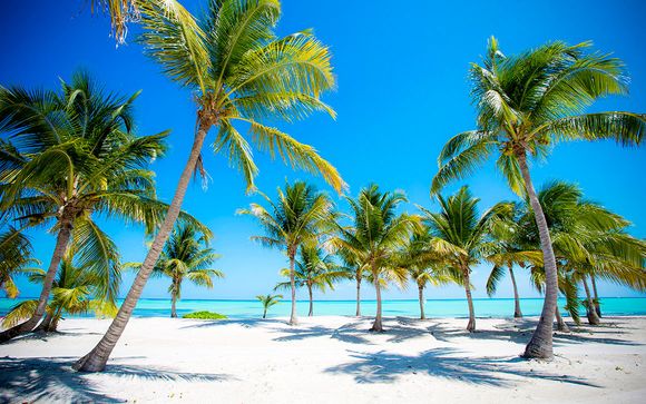 Royalton Bavaro Resort & Spa 5*