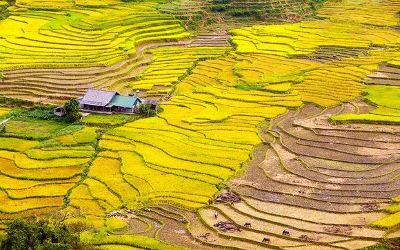Itinerario - Salidas en grupo