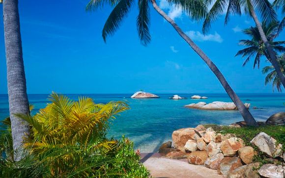 Koh Phangan te espera