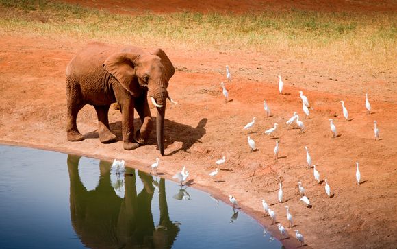 Safari de 4 días y 3 noches