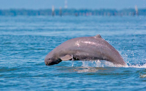 Itinerario - Salidas en grupo
