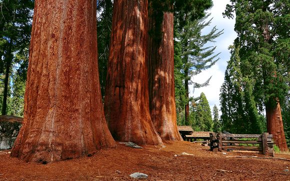 Autotour - Itinerario sugerido