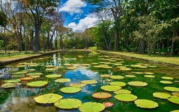 ¡Completa tu estancia!