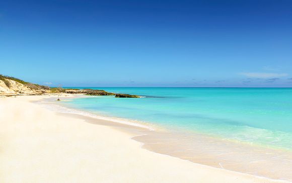 Tu excursión incluida