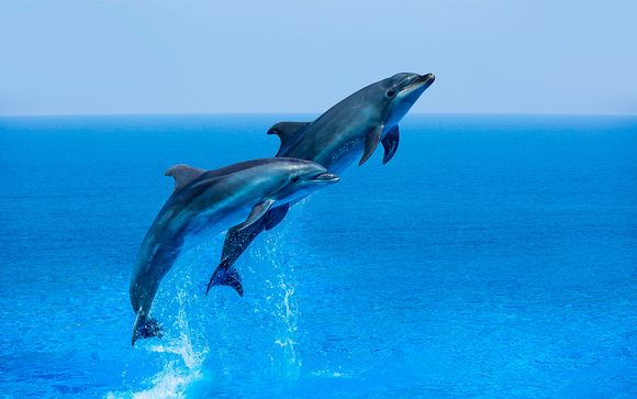 Hotel Westin Turtle Bay Maurice 5*