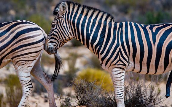 Itinerario - Salidas en grupo