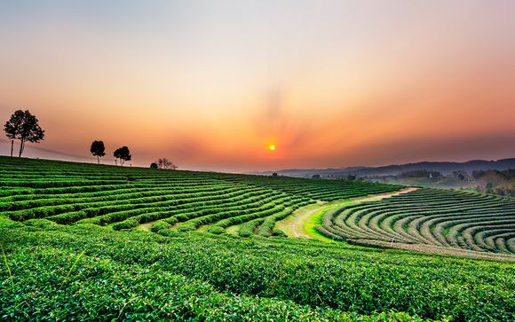 Itinerario - Salidas en grupo