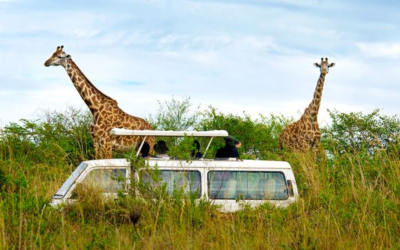 Safari a Ngutuni/Taita Hills Saltick Longe