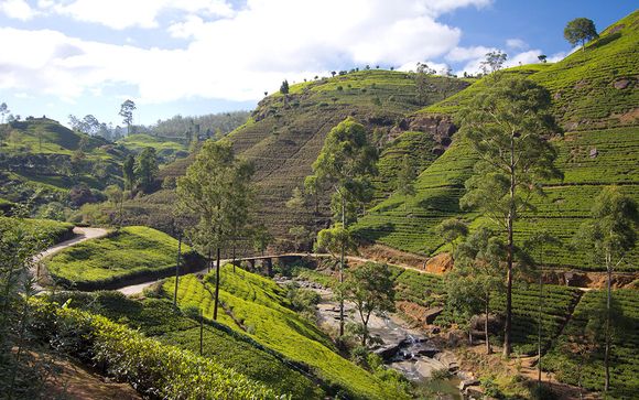 Itinerario - Circuito privado