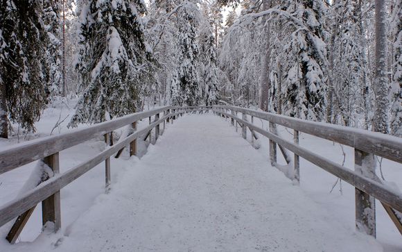 Itinerario de 6 noches - Tour por Laponia