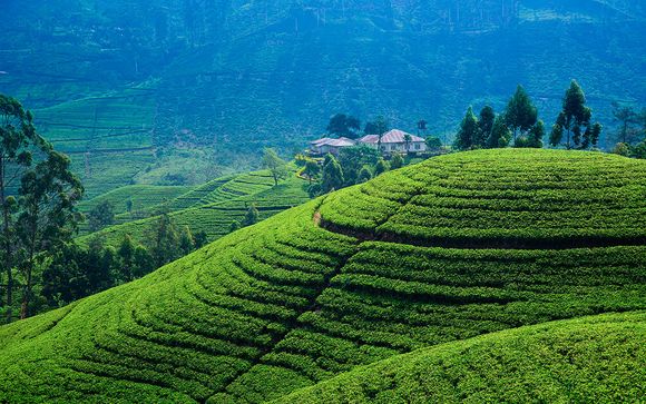 Itinerario privado - 10 noches